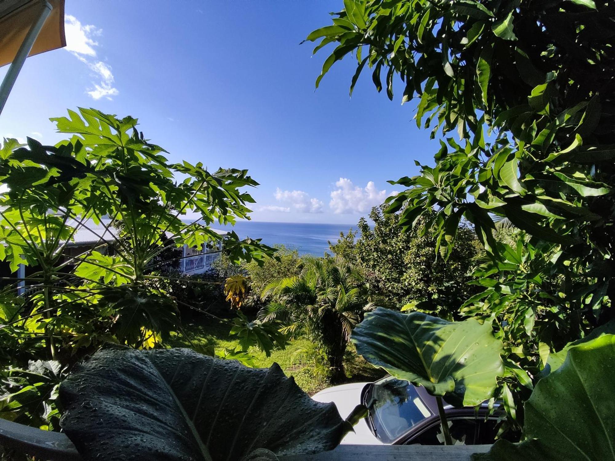 Bungalow With Sea View In Deshaies Zimmer foto